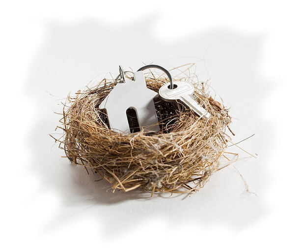About_Us_Nest